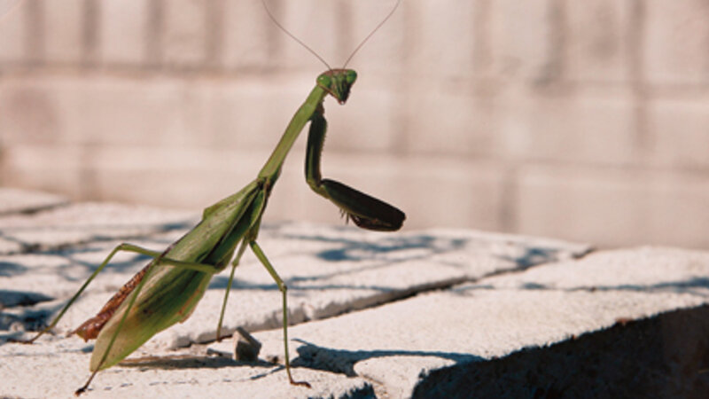 2nd Annual Exhibit Here's Looking at You