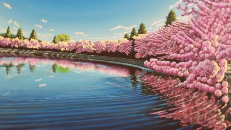 12th Annual Exhibit Tidal Basin Cherry