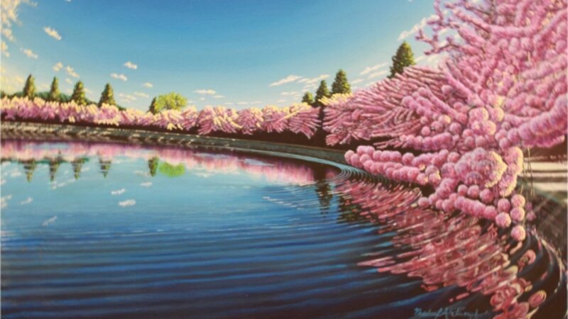 12th Annual Exhibit Tidal Basin Cherry