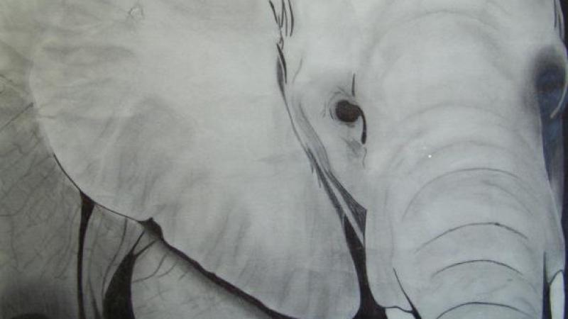 5th Annual Exhibit Mom's Elepant