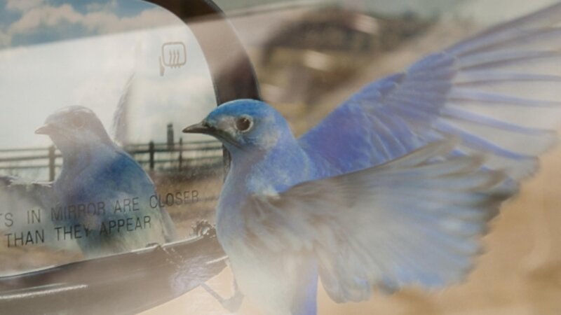 5th Annual Exhibit Reflections