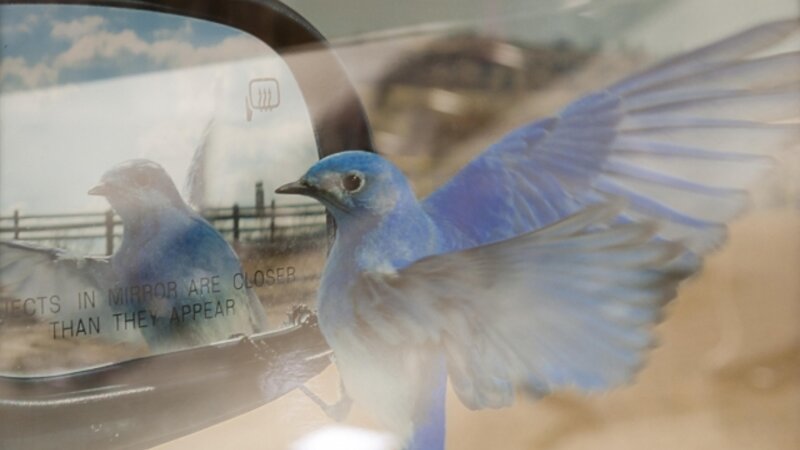 5th Annual Exhibit Reflections