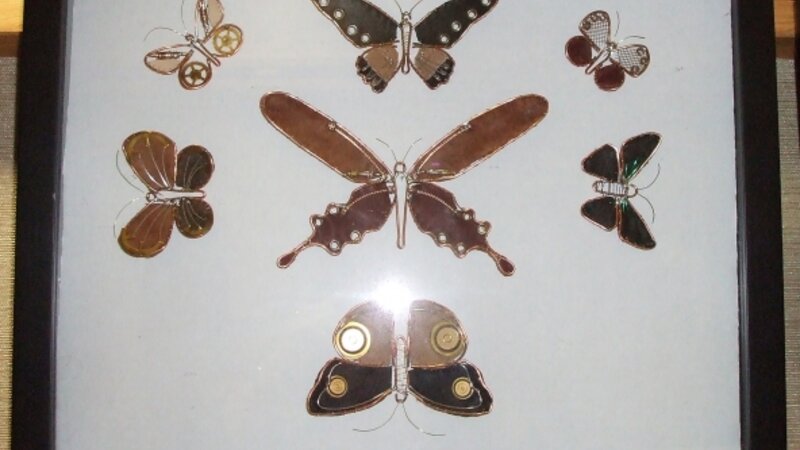 3rd Annual Exhibit Butterfly Collection