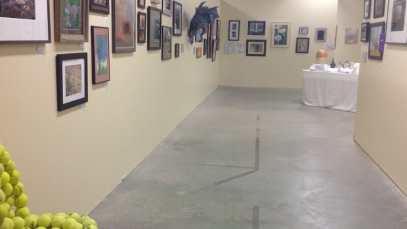 3rd Annual Exhibit Avera Prairie Center was the home of the 3rd Annual NAP Show for Avera Health System, SD