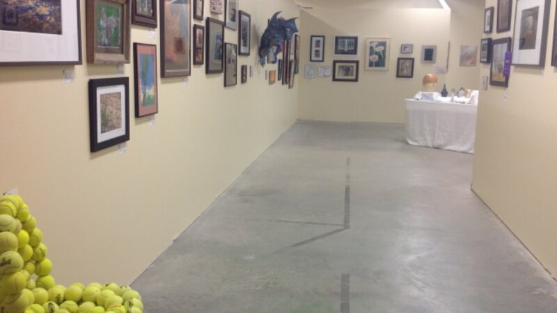 3rd Annual Exhibit Avera Prairie Center was the home of the 3rd Annual NAP Show for Avera Health System, SD