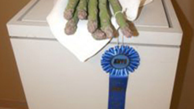 4th Annual Exhibit Groceries