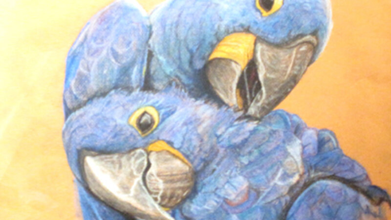 1st Annual Exhibit The Love Song