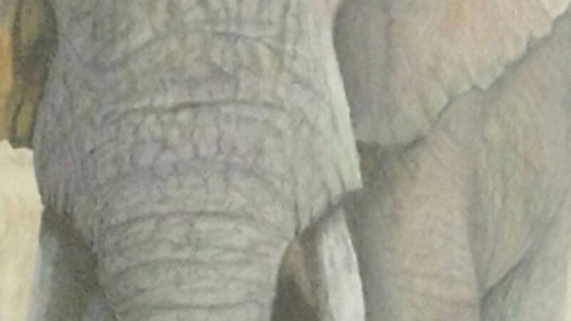 9th Annual Exhibit Blind Wisdom