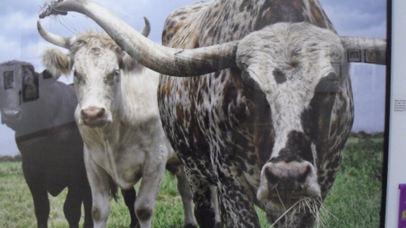 8th Annual Exhibit Is It My Turn Yet?