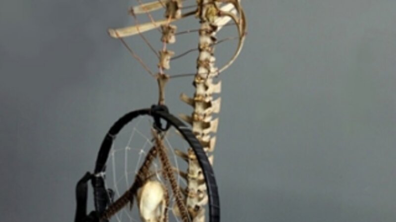 24th Annual Exhibit I'm Only Human