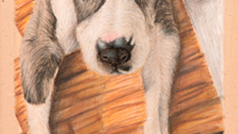 2nd Annual Exhibit Treasuring Tilly