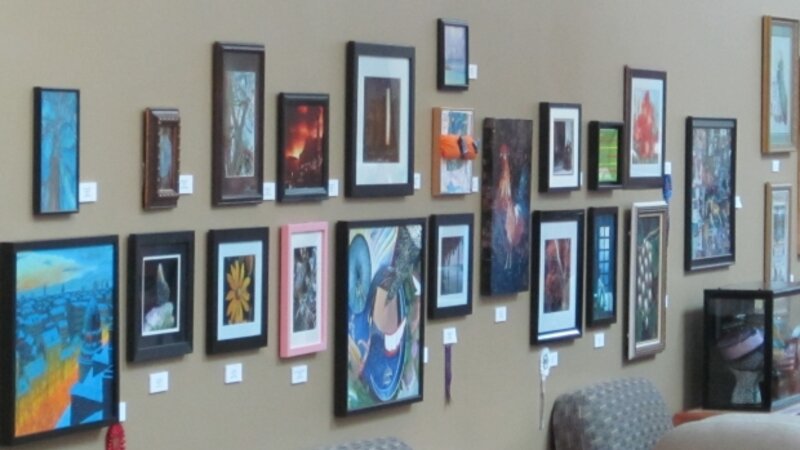 2nd Annual Exhibit Gallery Wall of the 2010 Vanderbilt University Medical Center NAP Show