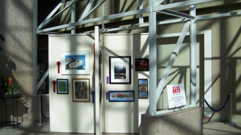 9th Annual Exhibit Artwork on display at the 2010 Union County NAP Show