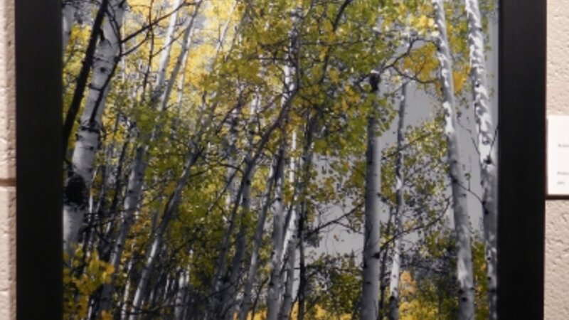 6th Annual Exhibit Metallic Fall