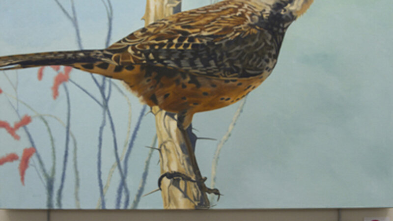 1st Annual Exhibit Cactus Wren