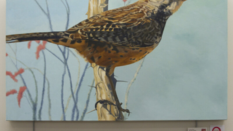 1st Annual Exhibit Cactus Wren