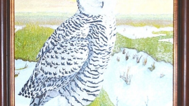 4th Annual Exhibit Snow Owl
