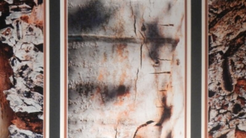 7th Annual Exhibit The Appeal of Aspen