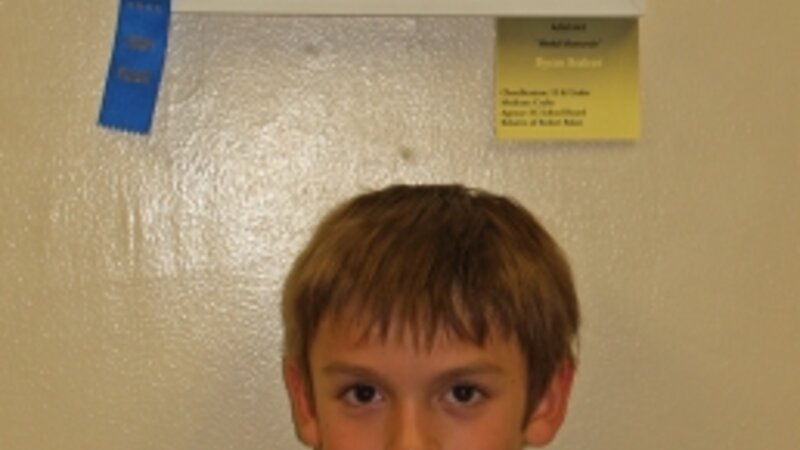 6th Annual Exhibit Metal Monarch