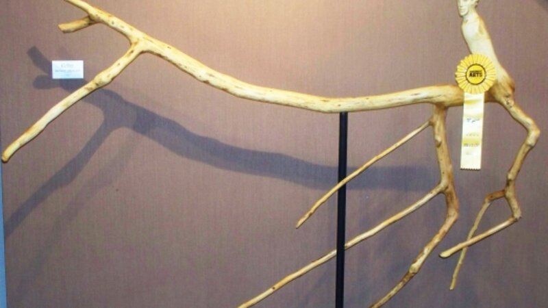 6th Annual Exhibit Ariel's Freedom: Jump. Joy. Dance.