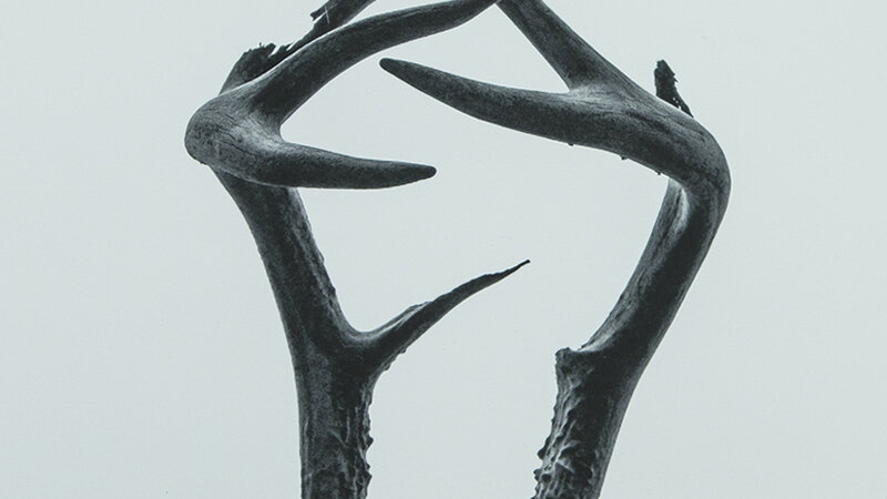 10th Annual Exhibit Antlers and the Grey Sky