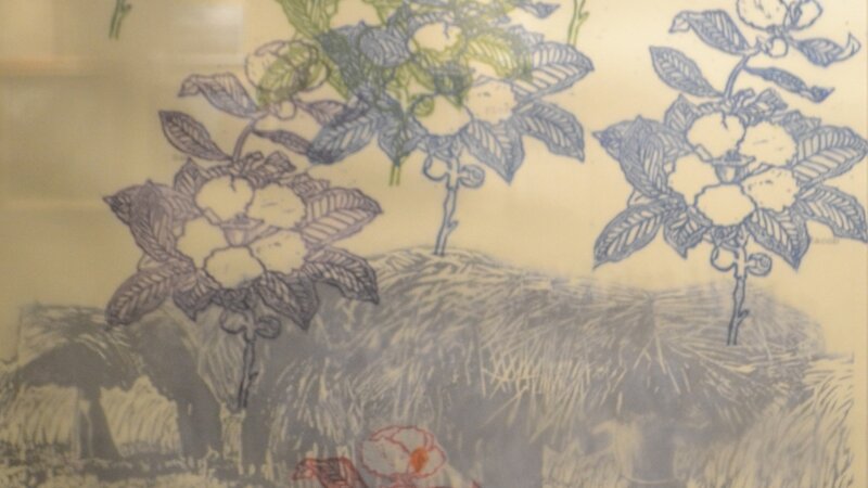 8th Annual Exhibit Franklinia