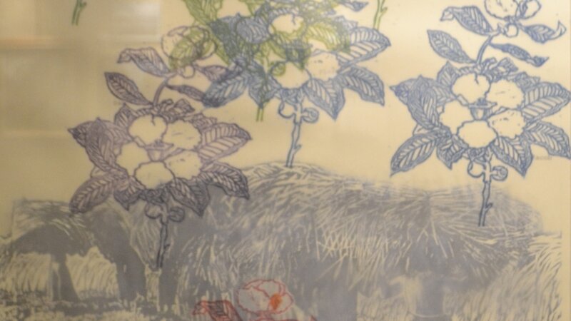 8th Annual Exhibit Franklinia