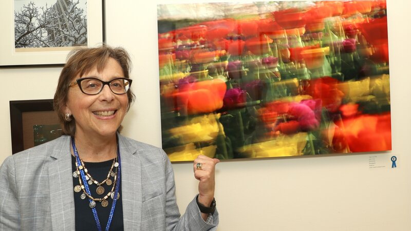 5th Annual Exhibit Tulips Gone Wild