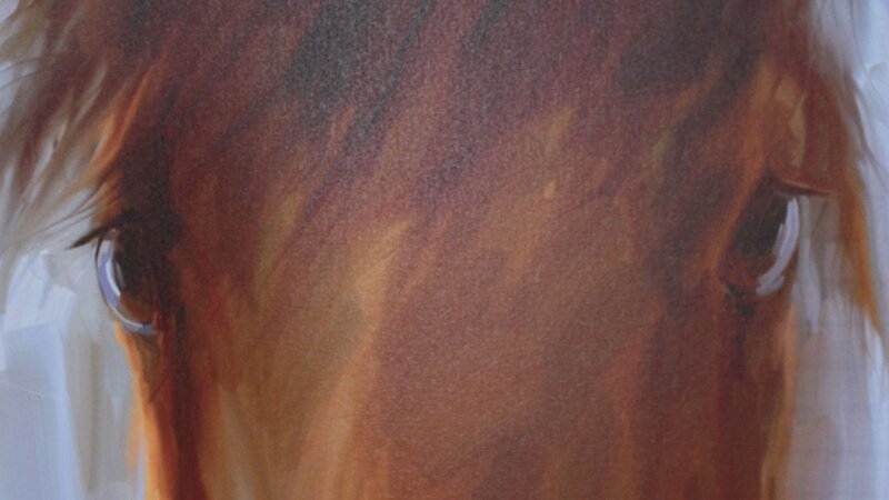 1st Annual Exhibit Brown Horse