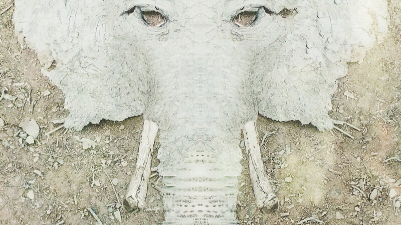 17th Annual Exhibit Trunx