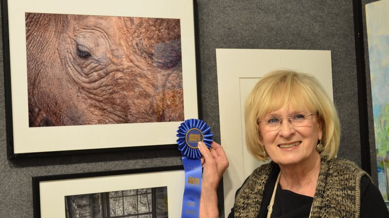 29th Annual Exhibit Wrinkles