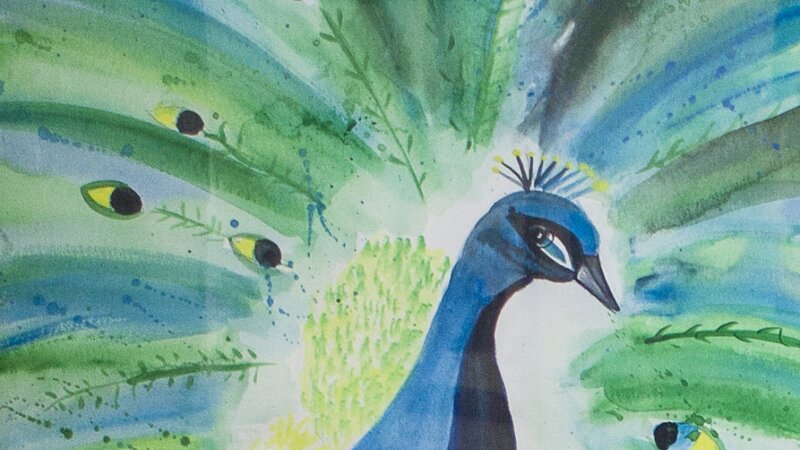 17th Annual Exhibit Majestic Peacock