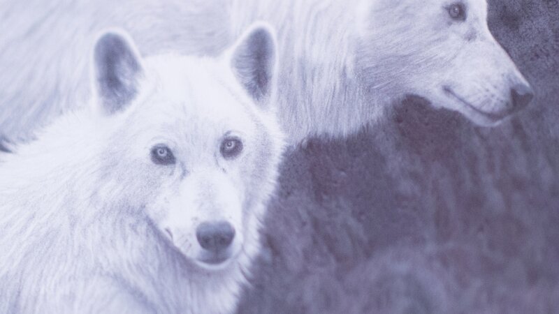 11th Annual Exhibit The Lookouts