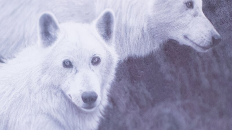 11th Annual Exhibit The Lookouts