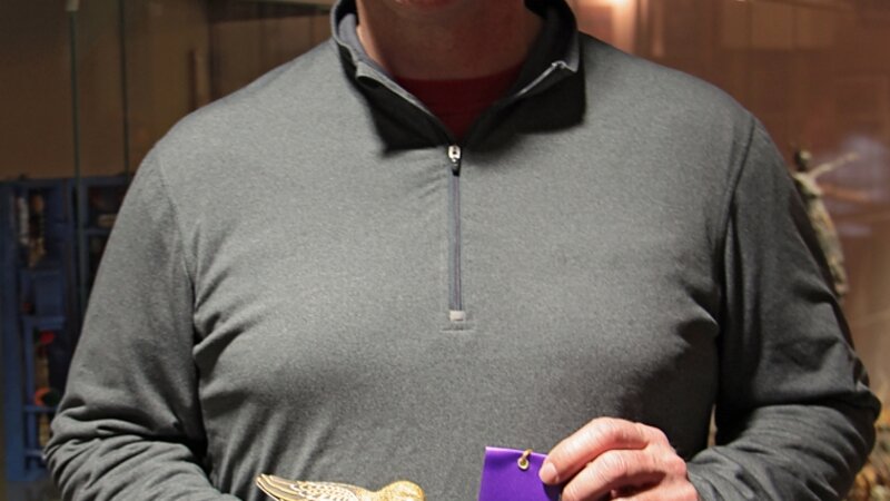 14th Annual Exhibit Juvenile Least Sandpiper