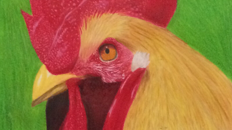 2nd Annual Exhibit Henry the Rooster