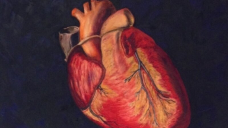 10th Annual Exhibit I Am Not My Heart