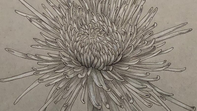 15th Annual Exhibit In The Garden