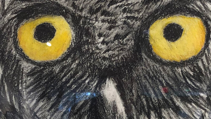 15th Annual Exhibit Owl