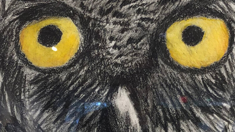 15th Annual Exhibit Owl