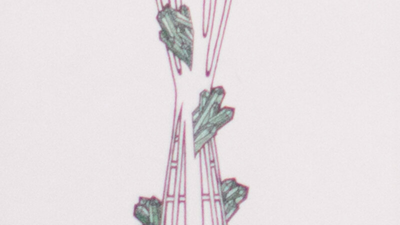 11th Annual Exhibit Emerald City