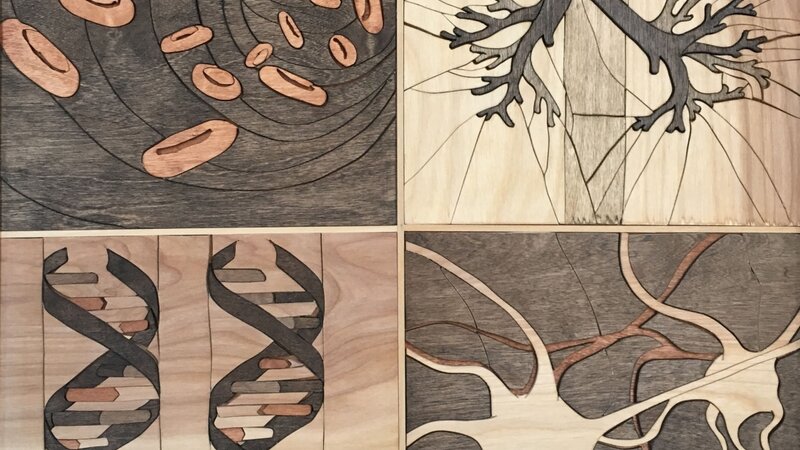 12th Annual Exhibit Architecture of the Body