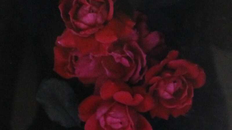 19th Annual Exhibit Roses are Red