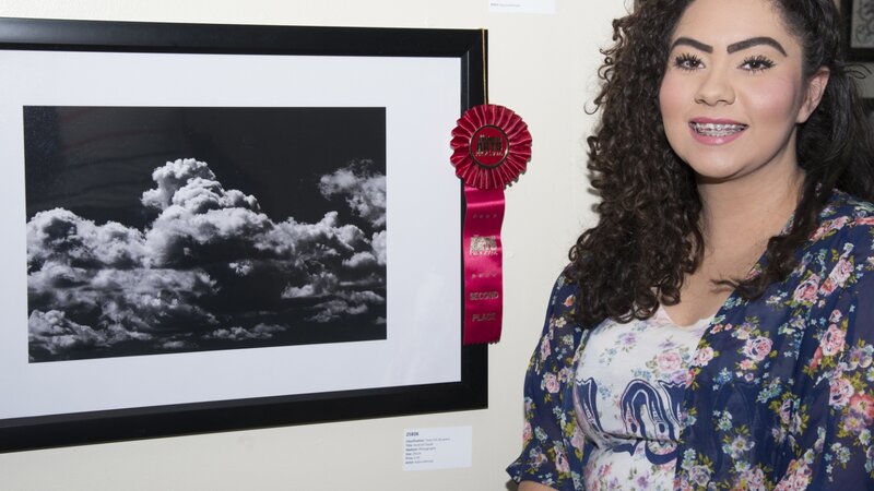 6th Annual Exhibit Herd of Clouds