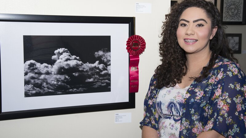 6th Annual Exhibit Herd of Clouds