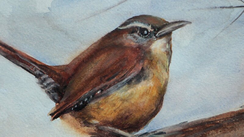 14th Annual Exhibit The Wren