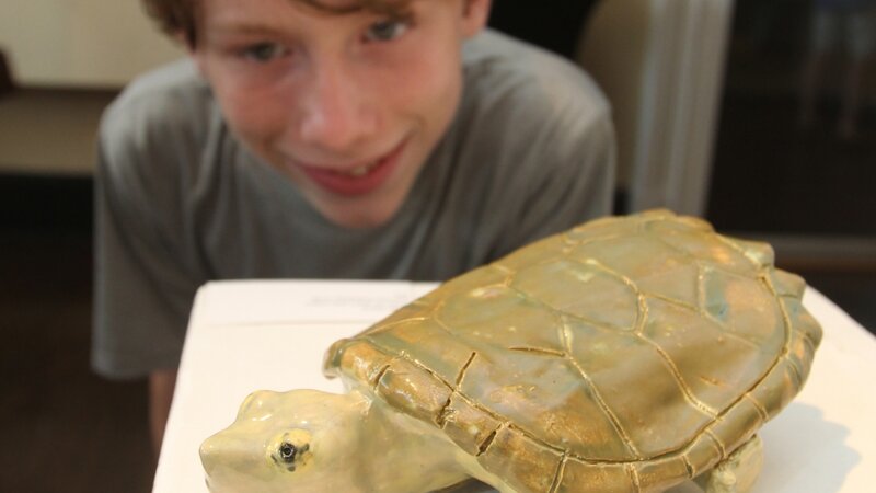 9th Annual Exhibit Common Snapping Turtle