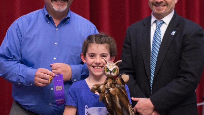 11th Annual Exhibit Ollie Owl