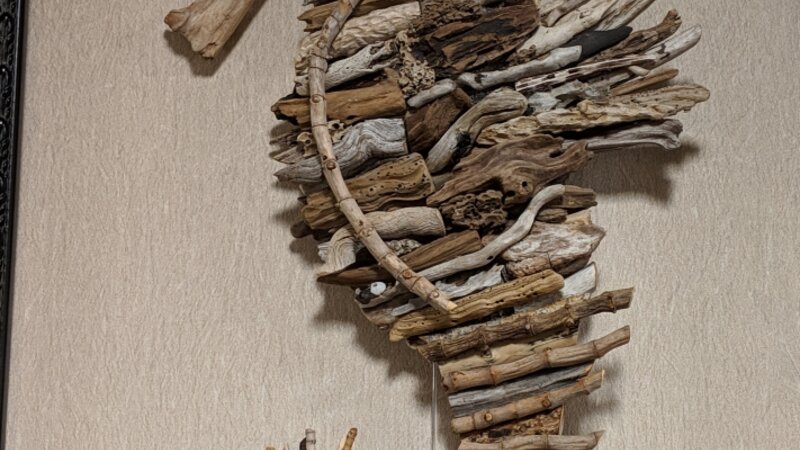 1st Annual Exhibit Driftwood Seahorse