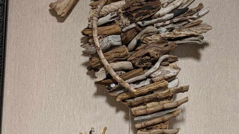 1st Annual Exhibit Driftwood Seahorse